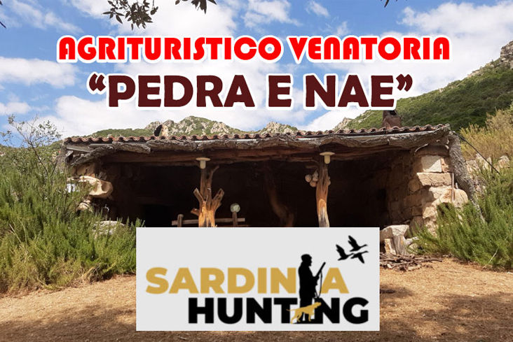 caccia alla pernice sarda in sardegna Pedra e Nae