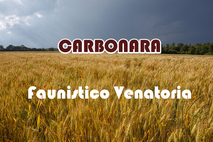 Carbonara caccia nel lazio stanziale fagiano