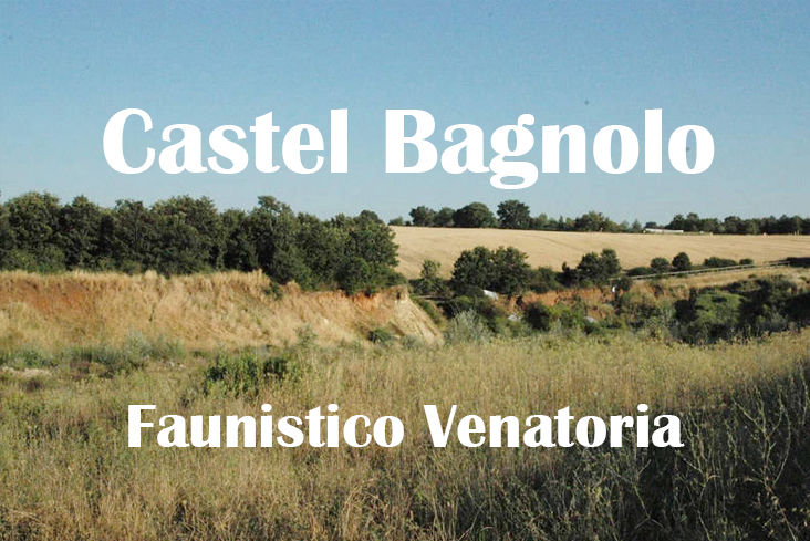 Castel Bagnolo caccia nel lazio stanziale fagiano