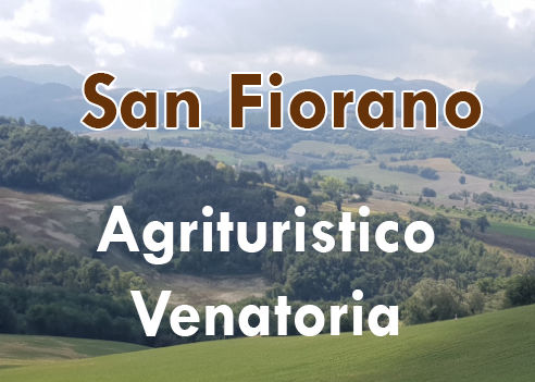 caccia al fagiano marche san fiorano