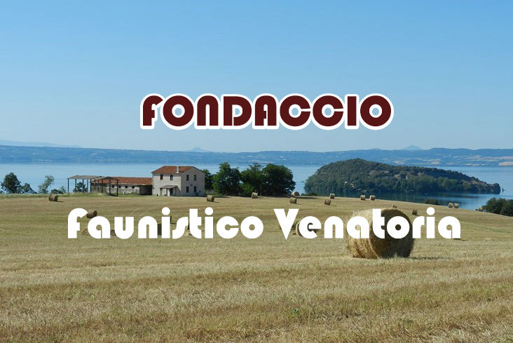 Fondaccio caccia nel lazio stanziale starna