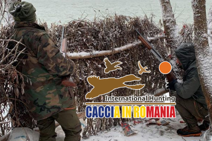caccia al fagiano in Romania con International Hunting