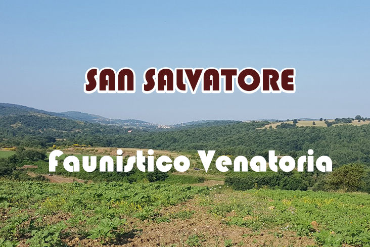 San Salvatore caccia nel lazio stanziale starna