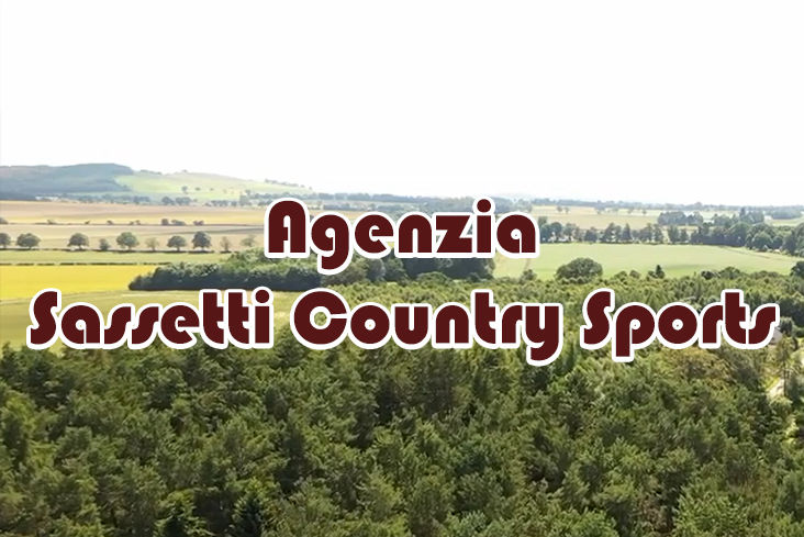 caccia alla lepre variabile in scozia sassetti country sports