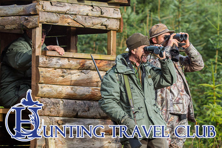 caccia alla grouse in scozia hunting travel club